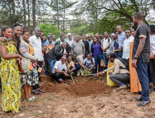 Planting Hope: JUC Trains Facilitators to Nurture Trees and Young Learners
