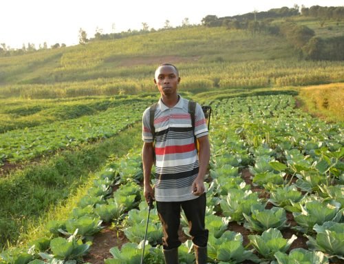 Turning Job Seekers into Job Creators: A Bold Step to Curb Youth Unemployment