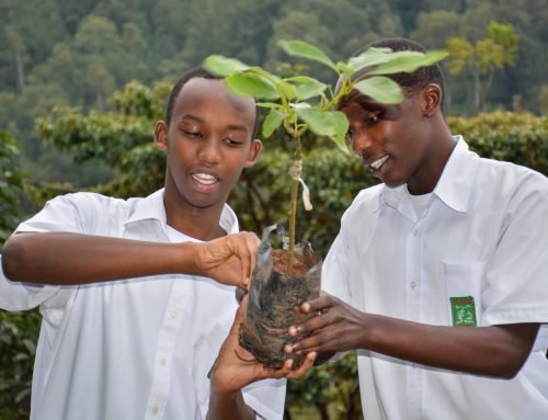 Fruit Tree Planting: One Stone, Two Birds — A Practical Approach to Climate Change Mitigation and Food Security