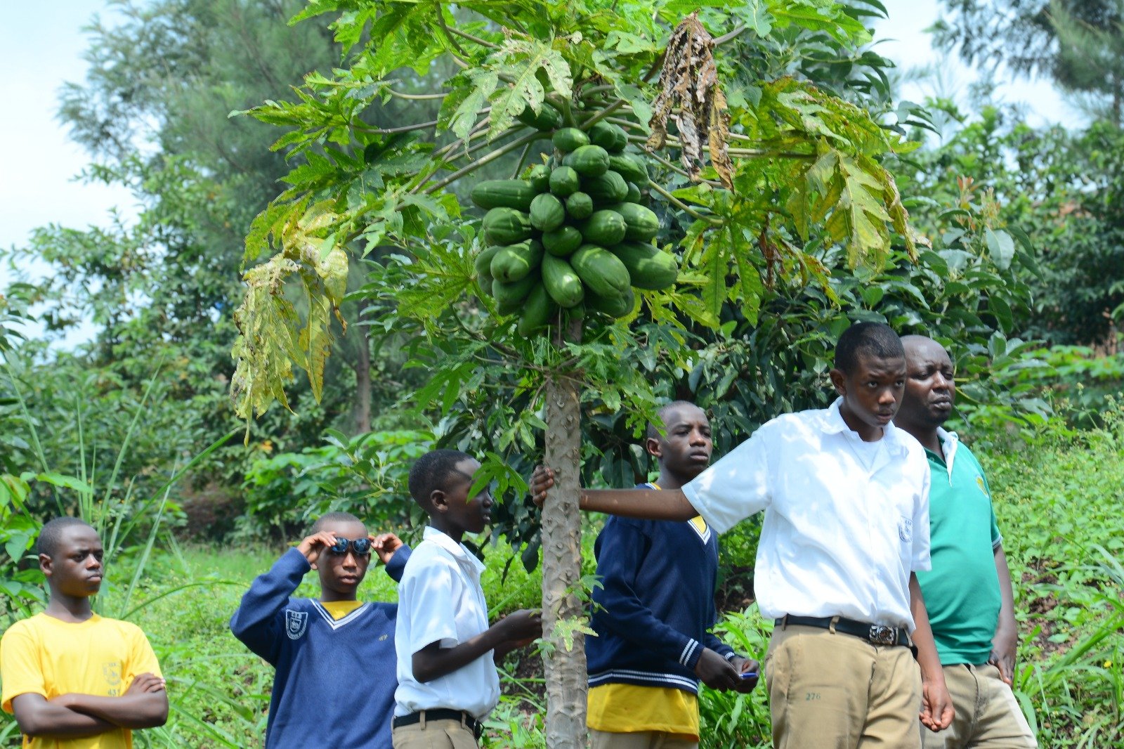 School Gardens as Oasis of Environmental Protection
